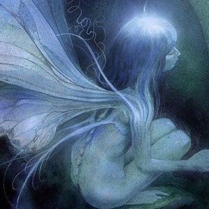 Meet your Posher, Drina